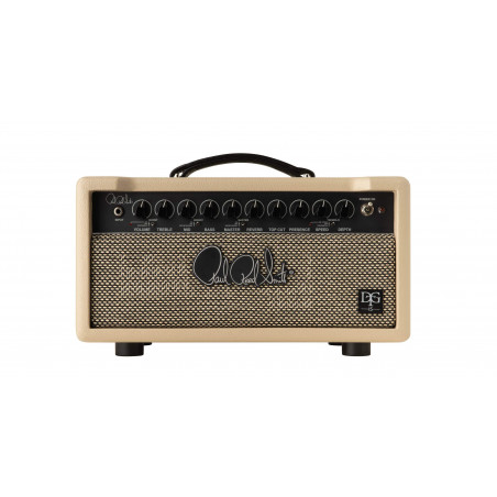 PRS STACK DAVID GRISSOM DGT15 HEAD  DG 1X12 CAB PRS STACK DAVID GRISSOM DGT15 HEAD  DG 1X12 CAB