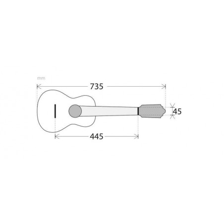 APC Guitalele GS Koa Sólida