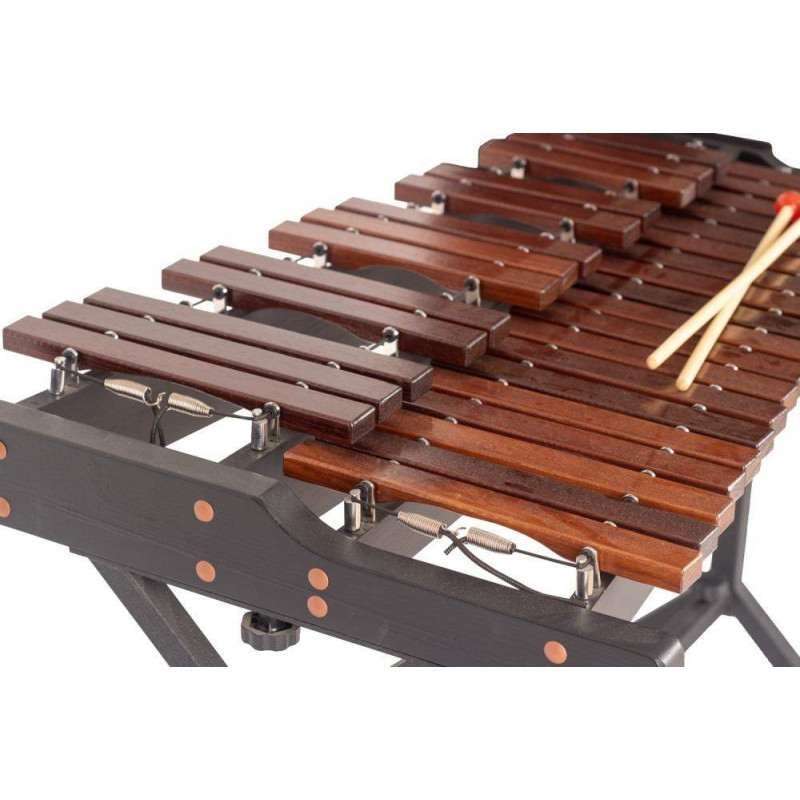 JBXP532M Xilófono Cromático