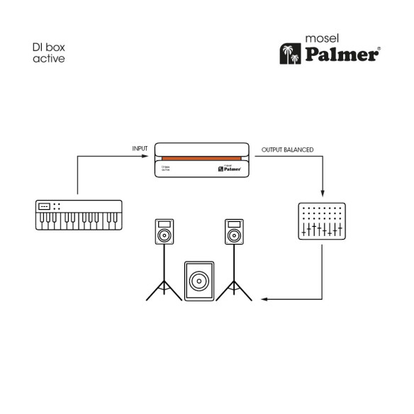 Palmer RIVER mosel - Caja DI activa