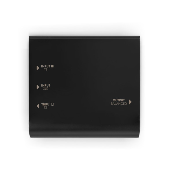 Palmer RIVER mosel - Caja DI activa