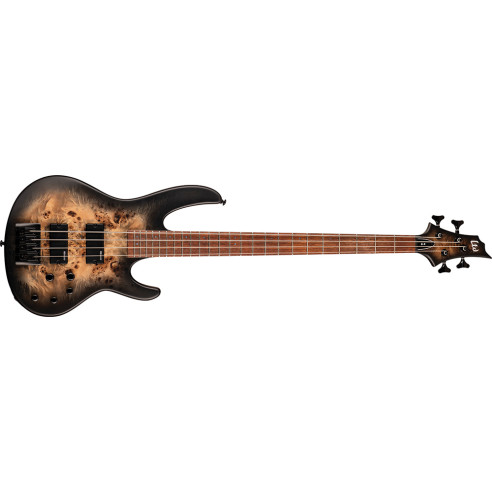 D-4 BLACK NATURAL BURST SATIN Bajo Eléctrico