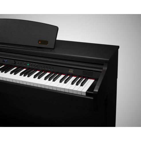 DP10-E Piano Digital 88 teclas Contrapesadas 