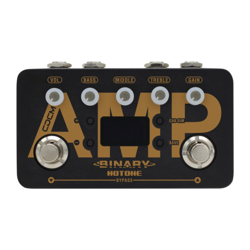 Binary Amp BAP-1