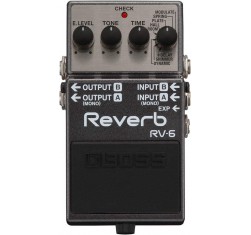 RV-6 Reverb
                                
